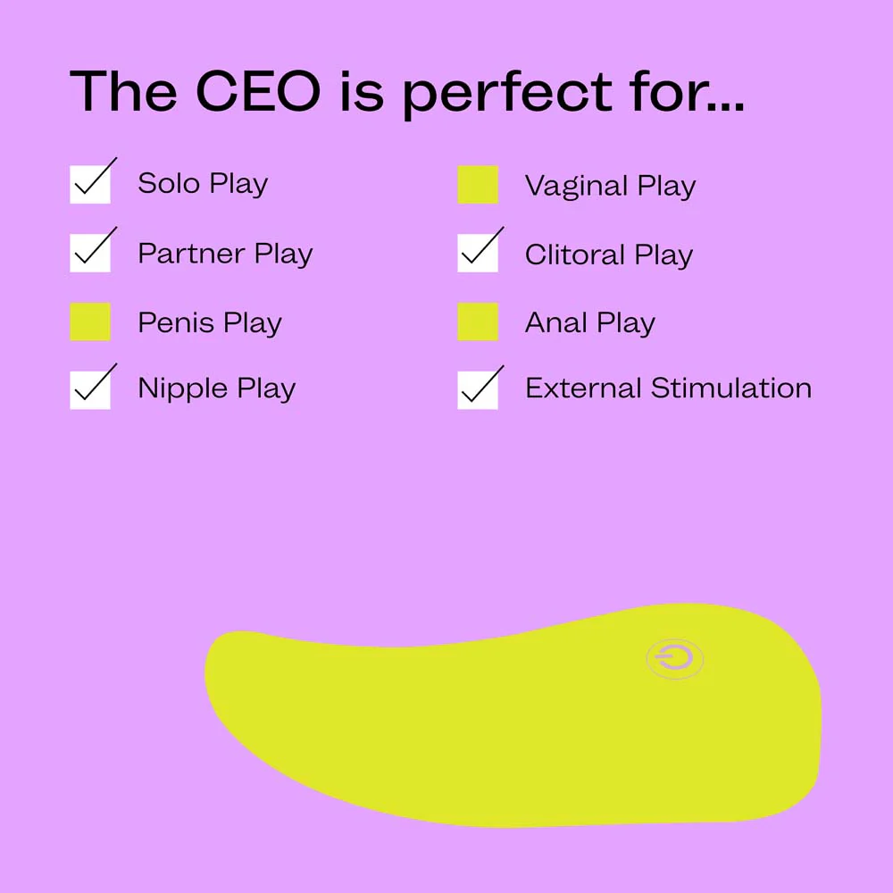 CEO - Image 6
