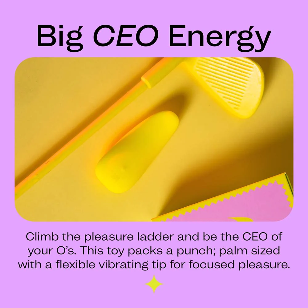 CEO - Image 7
